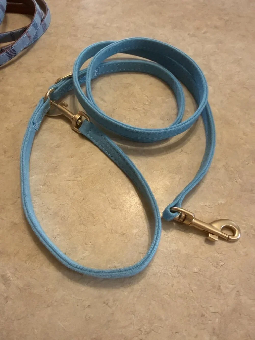 N/A dog training